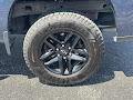 2021 Chevrolet Silverado 1500 4WD Custom Trail Boss Crew Cab